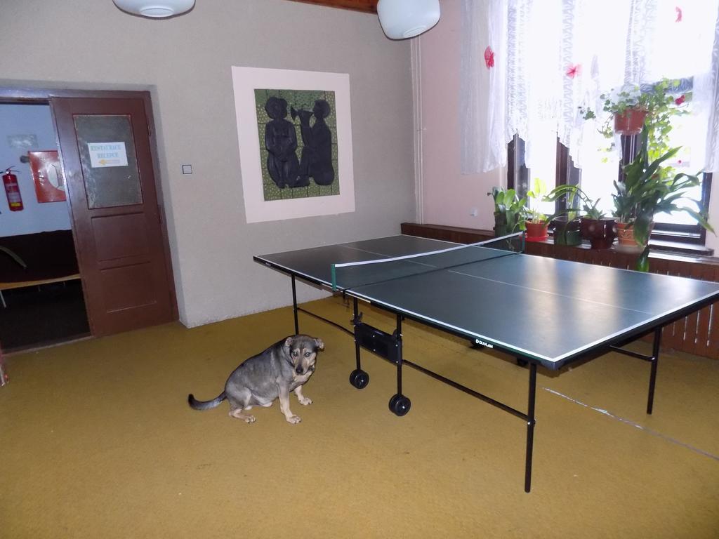 Penzion Hermanice Králíky Kültér fotó